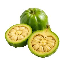 GARCINIA CAMBOGIA
