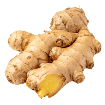 GINGER EXTRACT